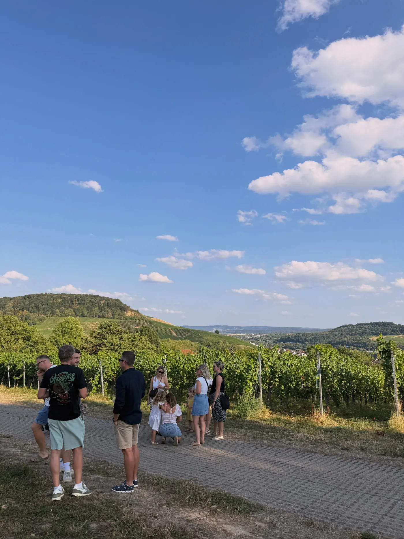 Gäste beim Sommerfest mit Blick über die Weinberge