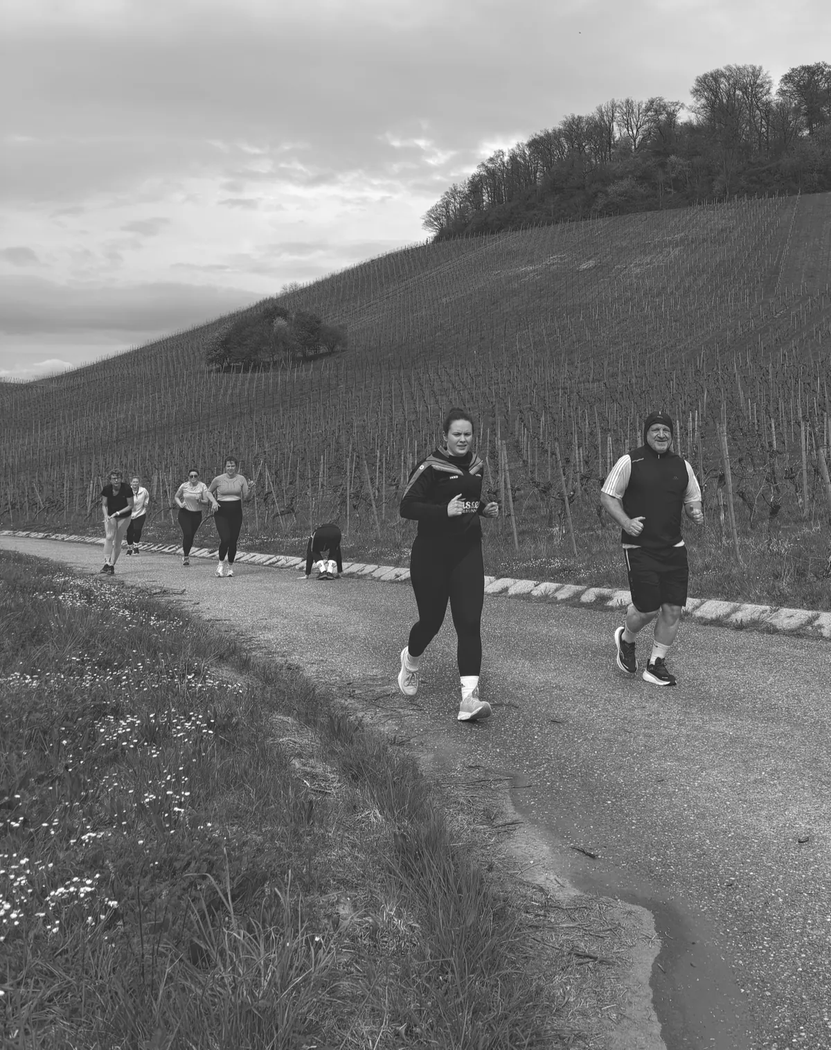 Laufgruppe auf dem Weg durch die Weinberge